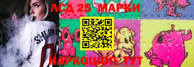 крисы Бийск
