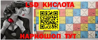 крисы Бийск