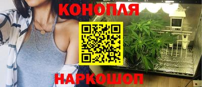 крисы Бийск