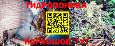 a pvp Беслан