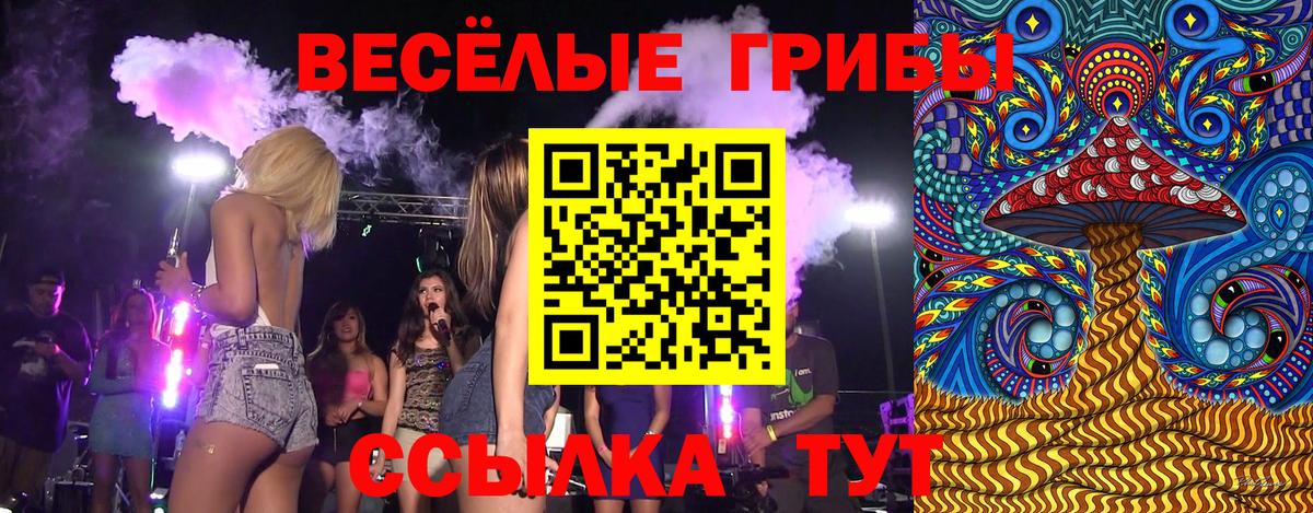 Керчь  Псилоцибиновые грибы ЛСД  Вход с VPN 